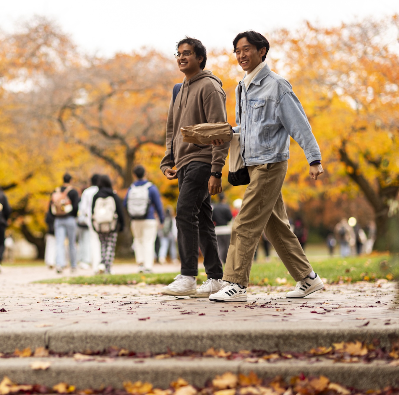 students walking in the quad during Autumn quarter