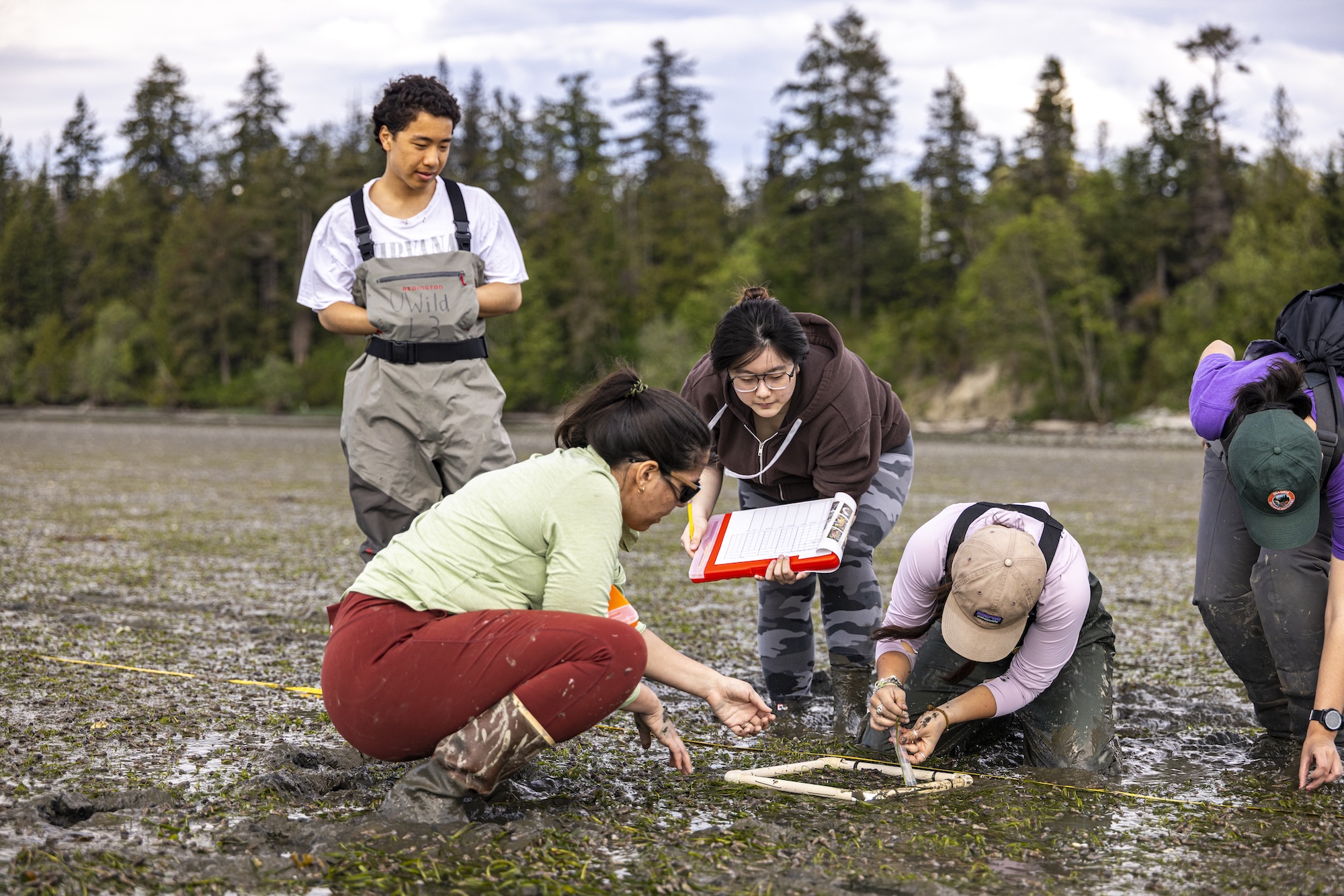 Students doing research on the beach